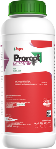 Proroot Raizorg