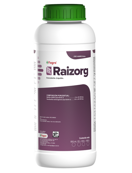 Raizorg