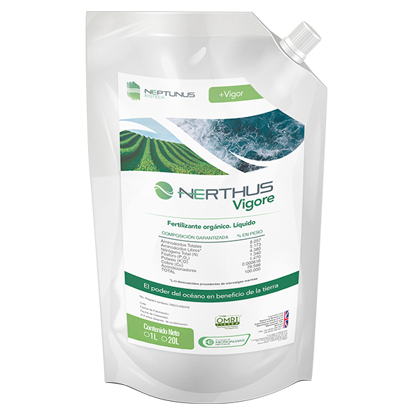 Nerthus Vigore